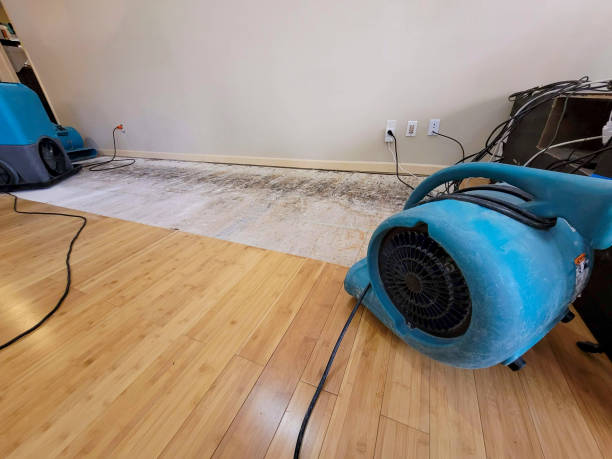 Professional Basement Flood Cleanup technician working in Rock Creek, AL